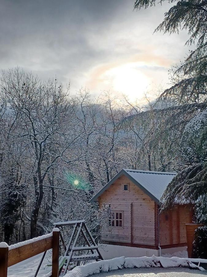 L'Oree Des Bois , Detente Et Calme . Mesigny Exterior photo